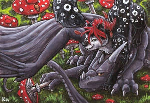 Mighty mushrooms (aceo)
