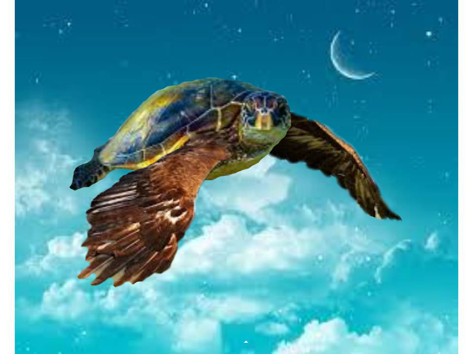 Flying Blue Turtle Flying Turtle by wishlifewasfiction on DeviantArt