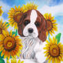 sunflower puppy