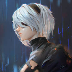 2B - Cold rain