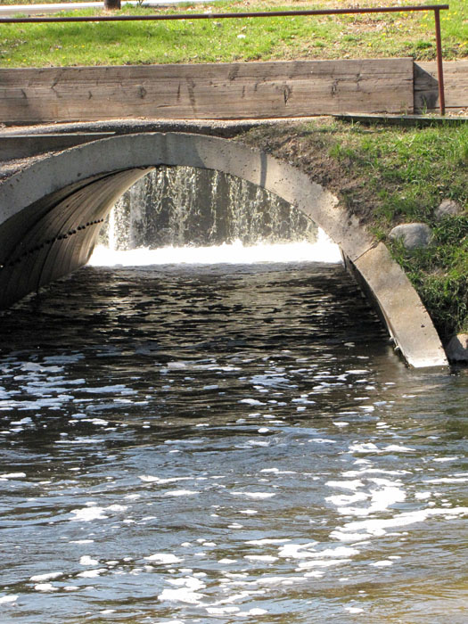 Swift Falls behind bridge