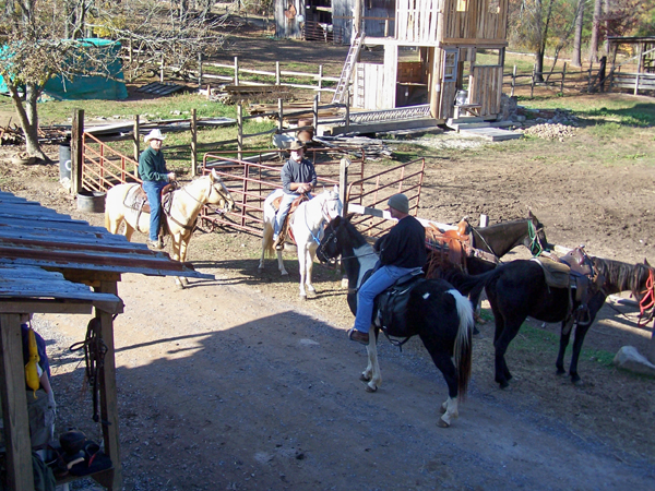 horses below