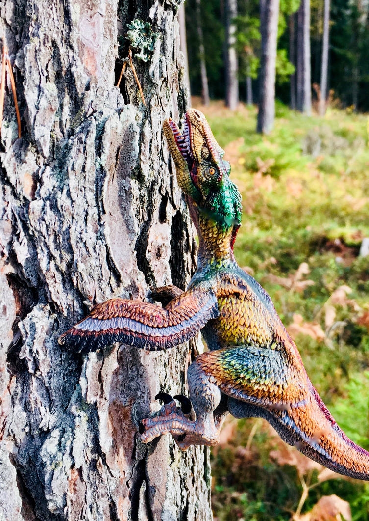 Tree Raptor Raptor Climbs Tree by Dinopixx on DeviantArt