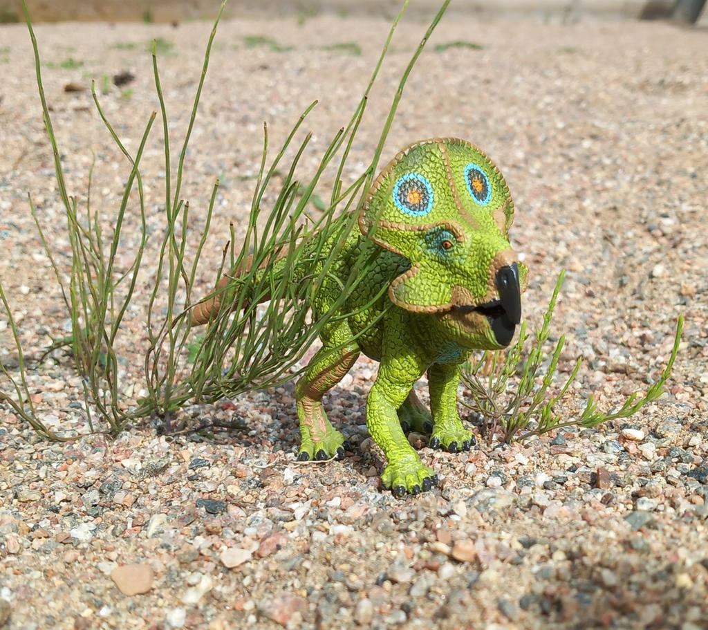 ProtoceratoPs by Dinopixx on DeviantArt