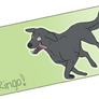 Ringo Ref