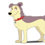Go, dogs, go