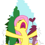 Fluttershy Holding the Fourth Wall Together
