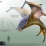Dachiata Creature Concept Sheet