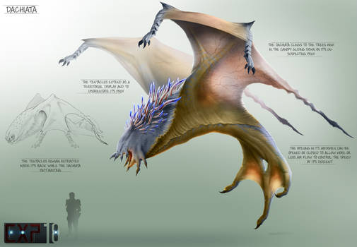 Dachiata Creature Concept Sheet