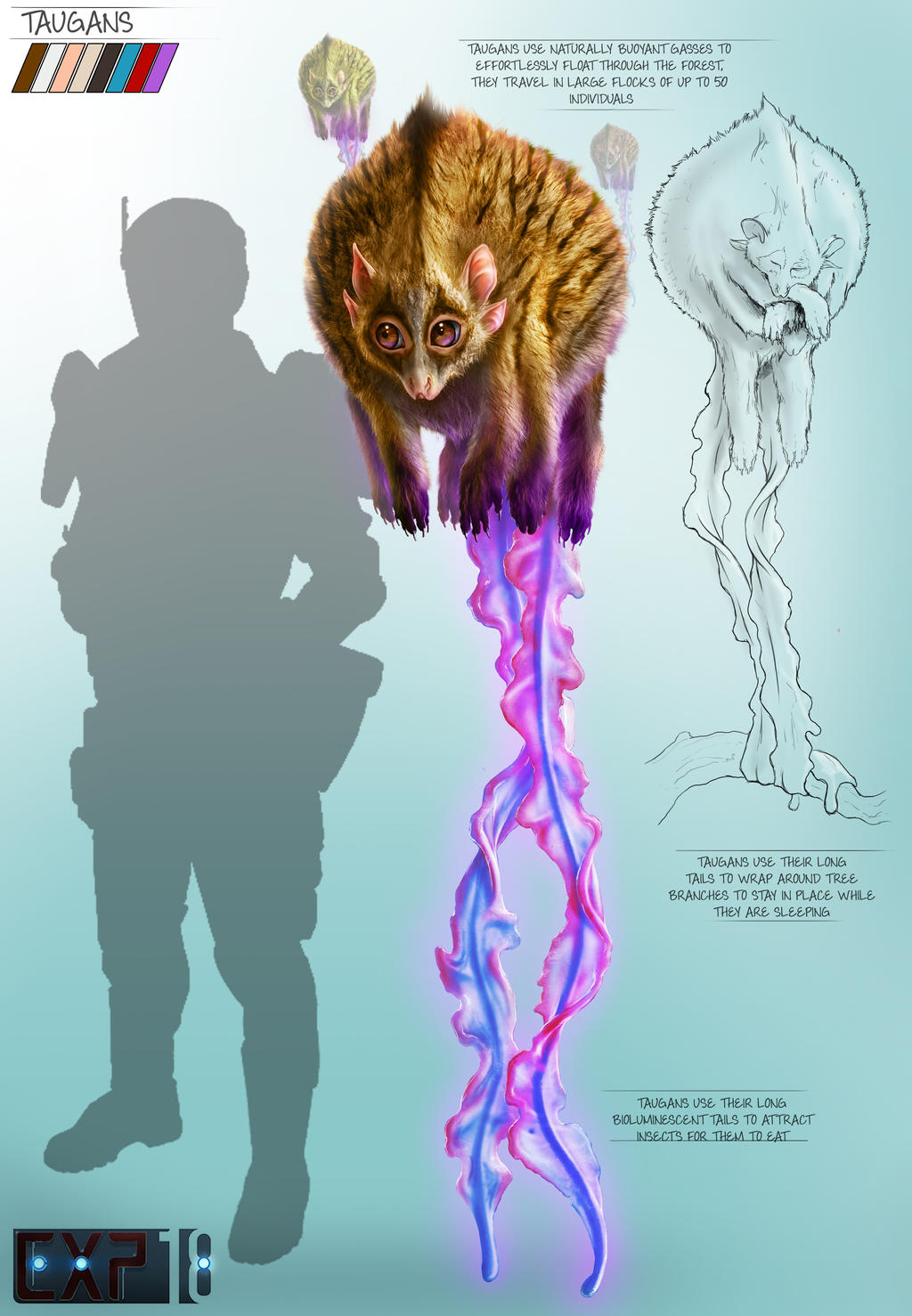Taugans Creature Concept Sheet