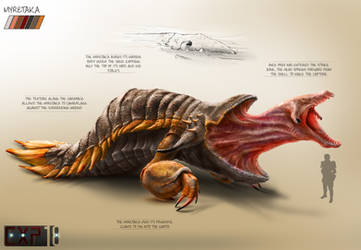 Myretaka Creature Concept Sheet