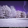 infrared park