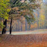 AUTUMN RAIN