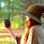The Brown Witch / Wizard Hat