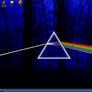 Dark Side of the Screen