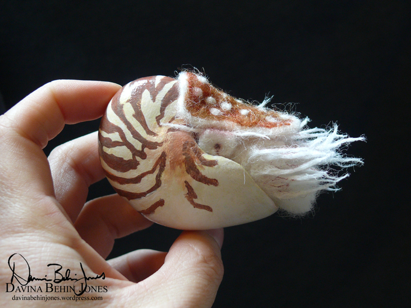 Mini Nautilus