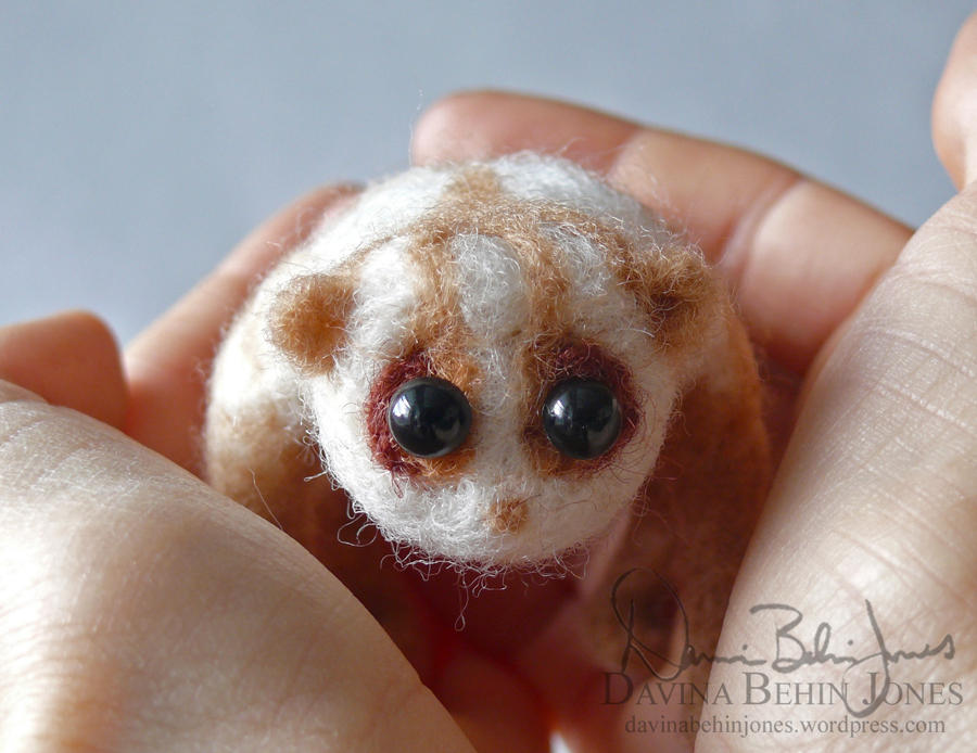Miniature Loris Micro Loris by FamiliarOddlings on DeviantArt