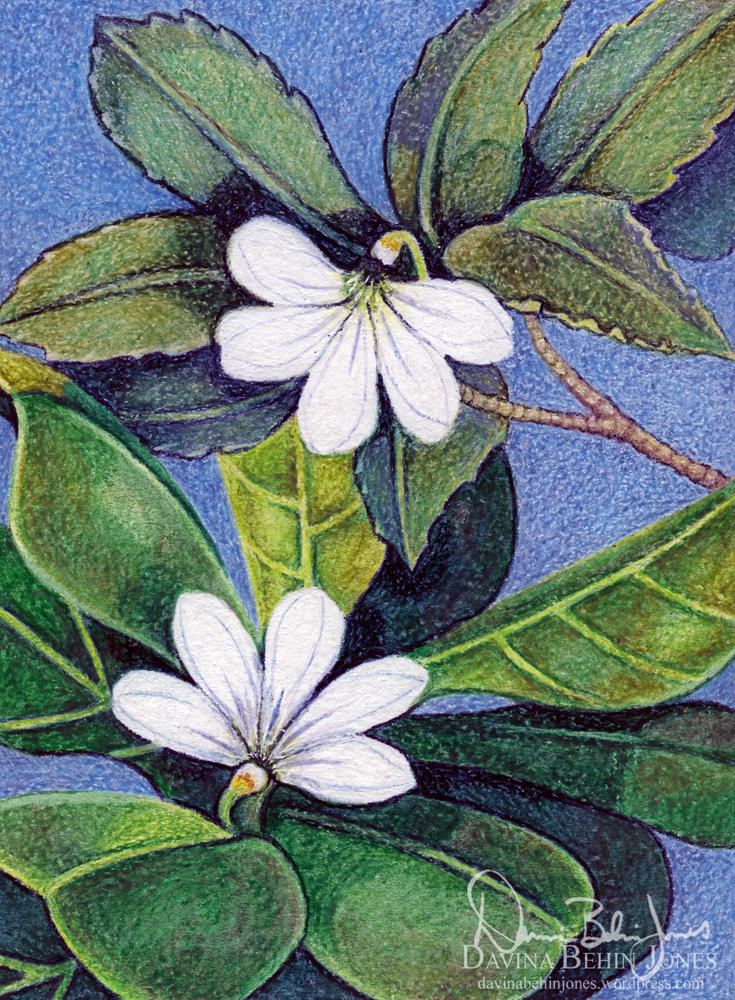 Naupaka Flowers by FamiliarOddlings on DeviantArt