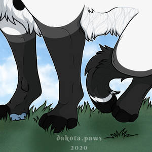 Feets | Personal Art