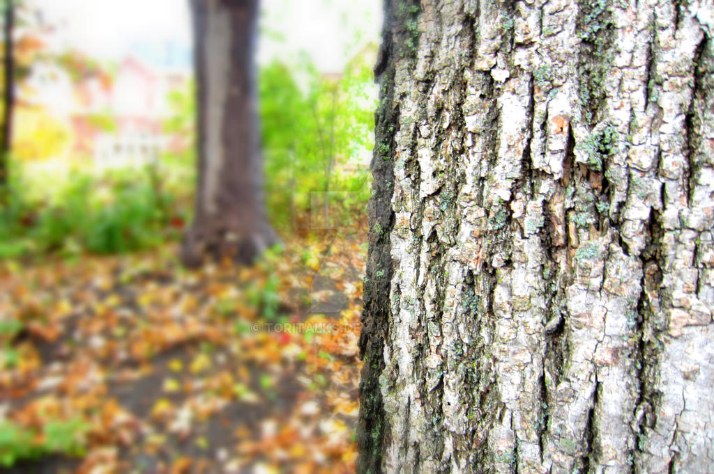 Textured Tree by ToriTalks on DeviantArt