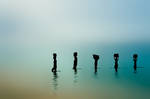 Silent World of Majority by Ananyana