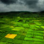 Green Azores