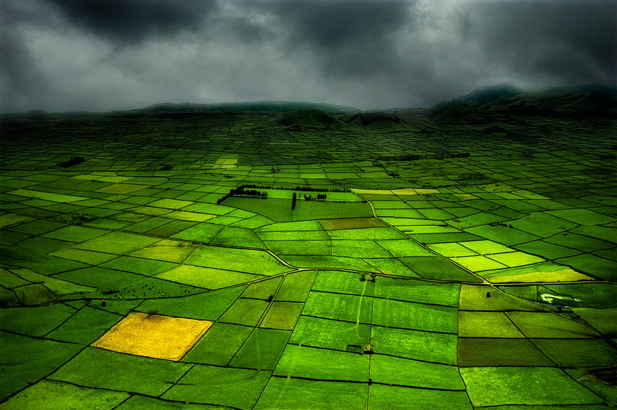 Green Azores by Ananyana