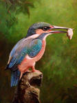 Kingfisher oil painting by Ned-The-Hat