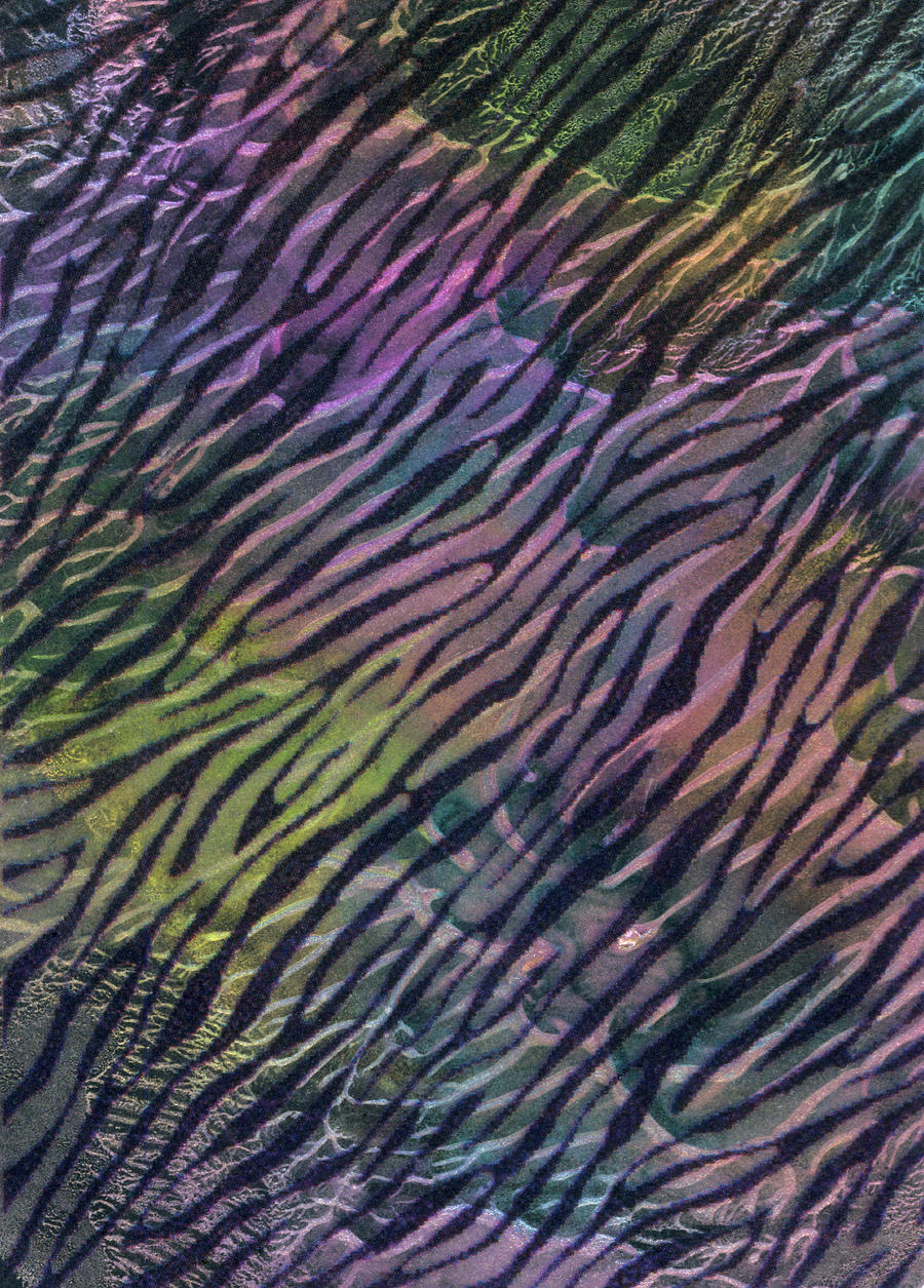 Rainbow Tiger EKD Background