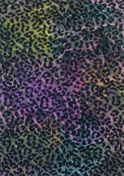 Rainbow Leopard Background 2