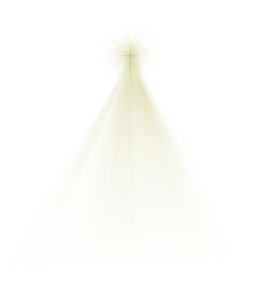 Holy Night Christmas Star