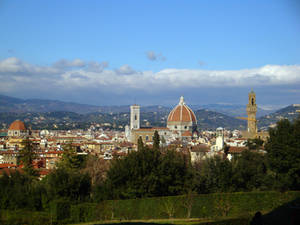 Florence view