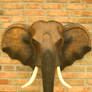 Elephant sculpture 2