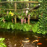 Tropical Island Orchids + Koi