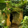 Hidden Cave in Rain Forest 2