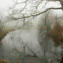 Mirrored in misty waters...