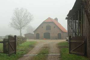 Farm in the mist