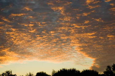 Morning sky from my balcony - 002