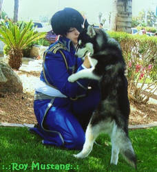 :.:Roy Mustang Cosplay ID:.: