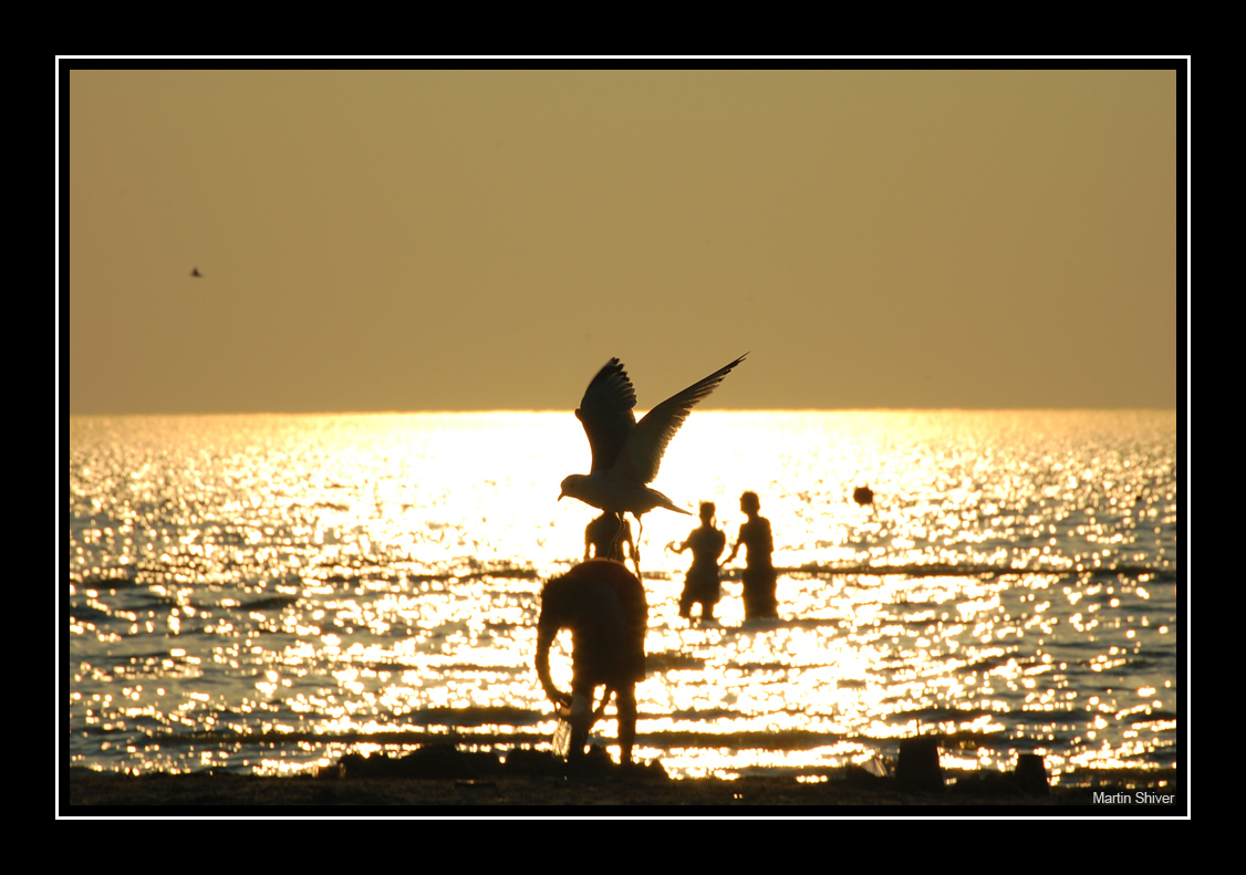 Wasaga Beach 3