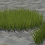 Grass Pack DL