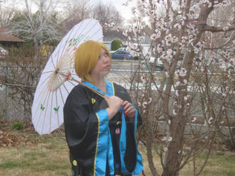 Kimono Cosplay