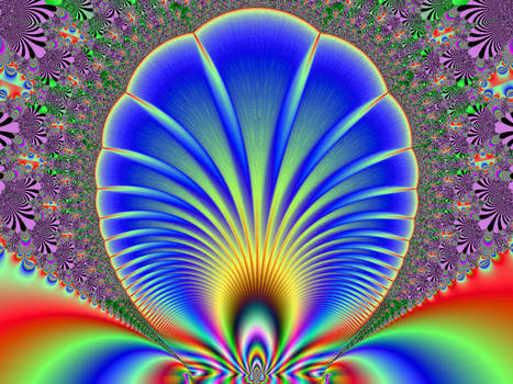 Psychedelic Sea Shell