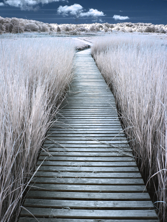 Another Boardwalk