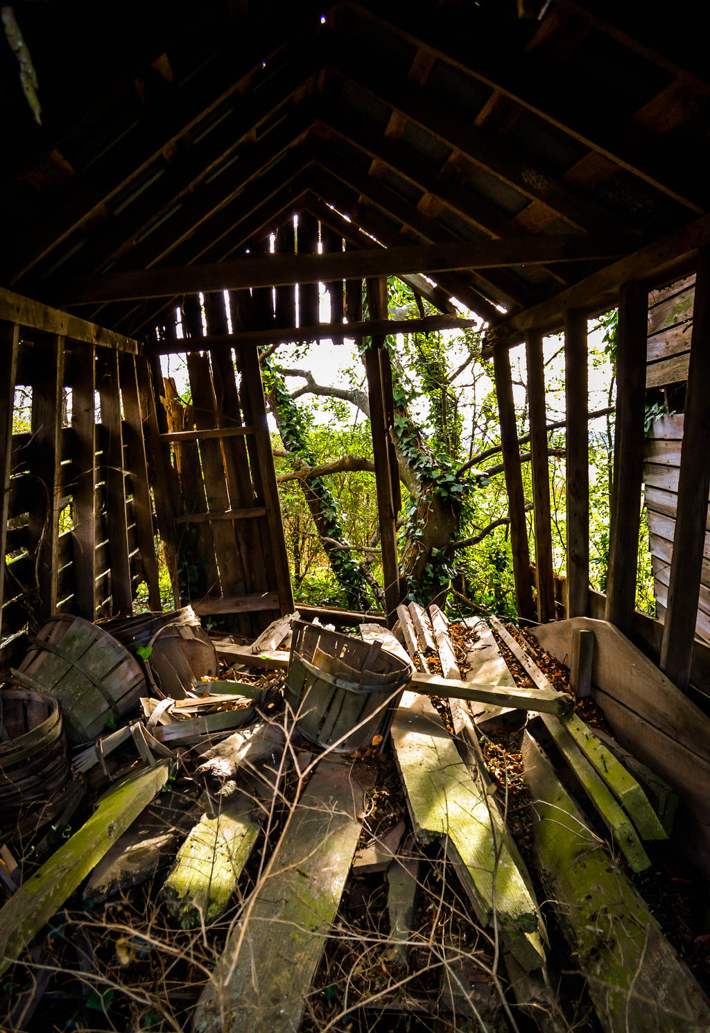 Rustic Afternoon