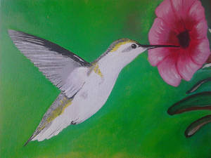 Hummingbird