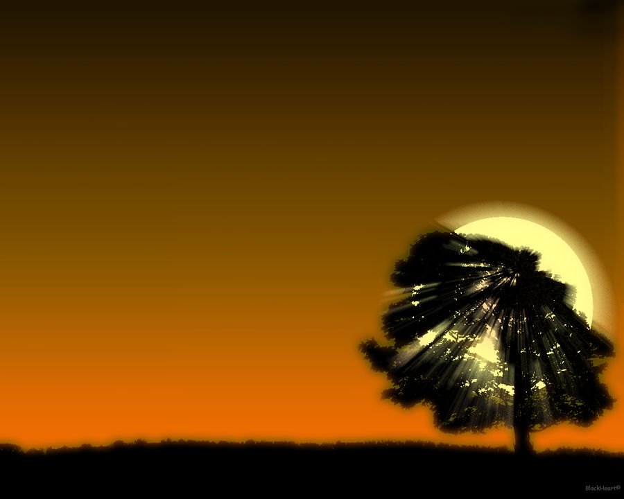 Bitmap Sunset The Sunset by B14CKH34R7 on DeviantArt