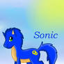 Sonic Pony