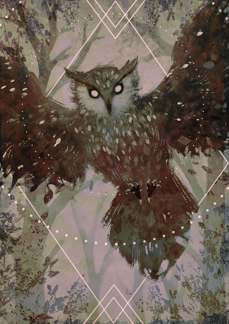 Owl