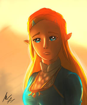 Princess Zelda BotW